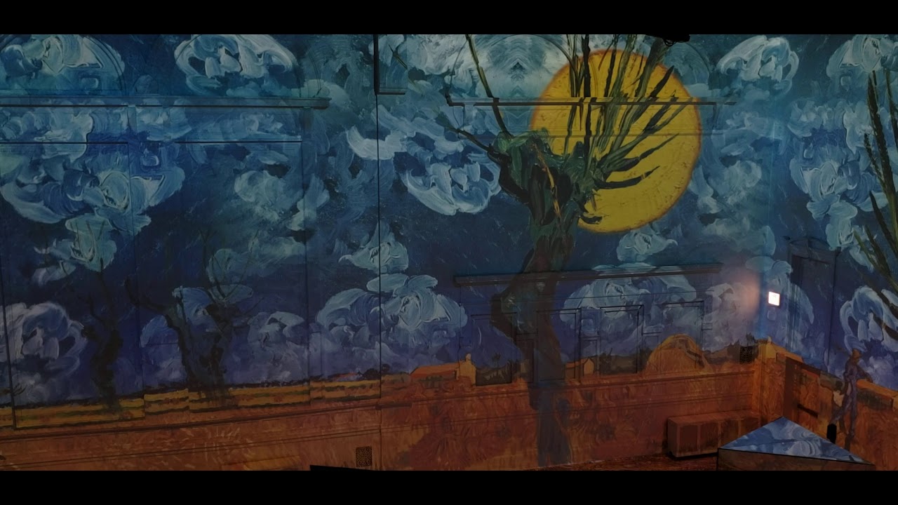 Immersive Van Gogh Exhibit - Chicago, IL, USA (2021.02.13) 4K